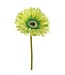 9" Large Gerbera Daisy Stem
