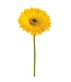 9" Large Gerbera Daisy Stem