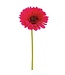 9" Large Gerbera Daisy Stem