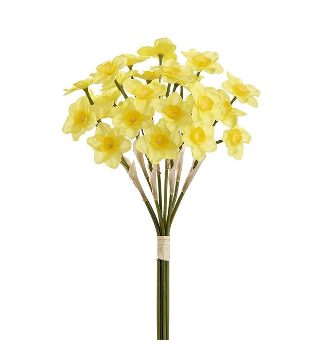 15" Narcissus Bundle Yellow