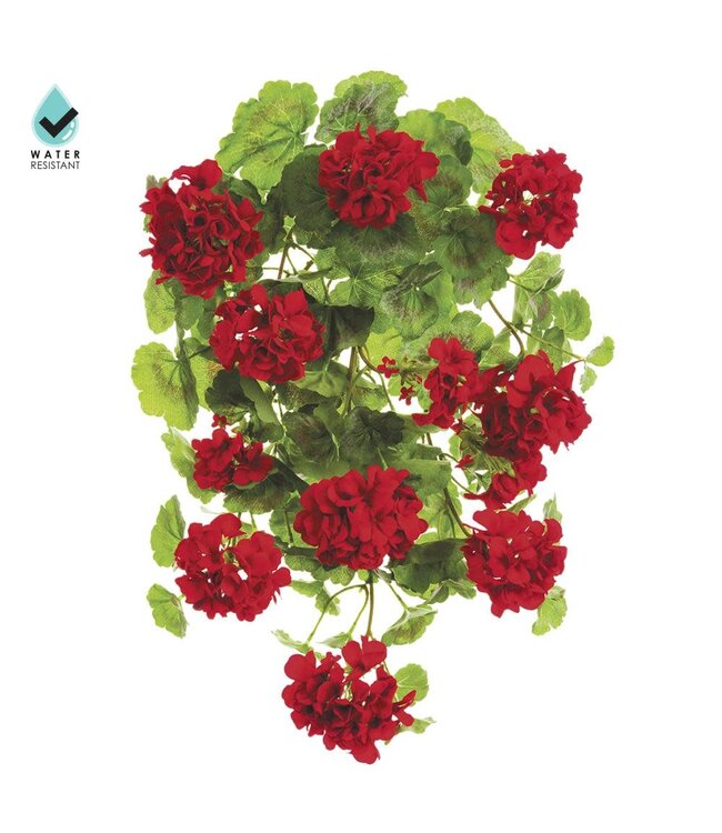 22" Water Resistant Geranium Hanging Bush Red
