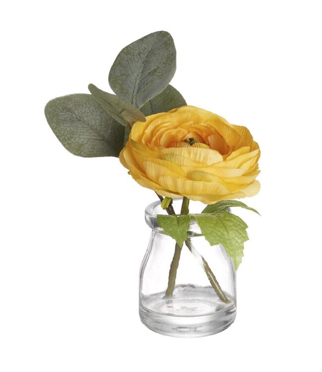 6" Ranunculus in Glass Vase