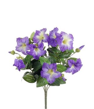 16" Petunia Bush Purple
