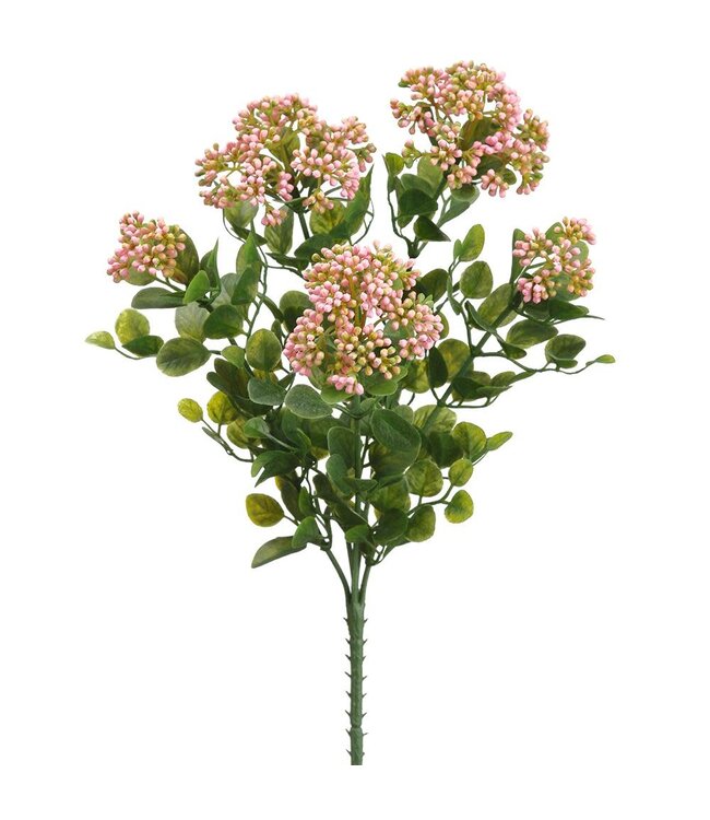 15.5" Sedum Bush