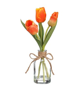 11" Tulip in Glass Vase Flame