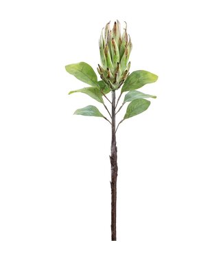 29" Protea Spray