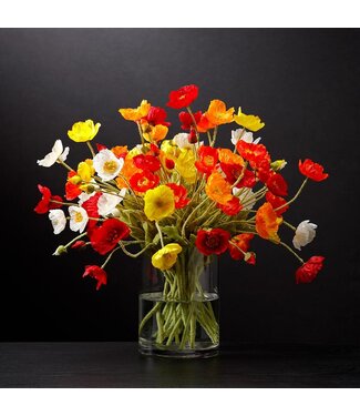 23.6" Poppy Spray