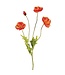 23.6" Poppy Spray