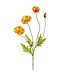 23.6" Poppy Spray