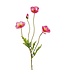 23.6" Poppy Spray