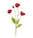 23.6" Poppy Spray