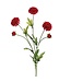 27" Pompon Mum Spray
