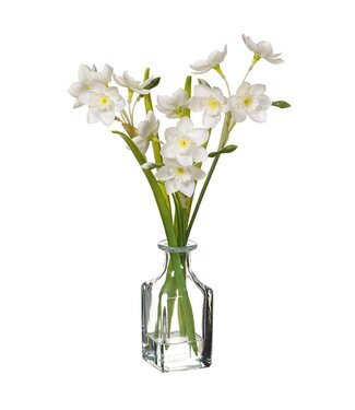 12" Ranunculus in Glass Vase White