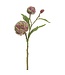 26" Artichoke Spray