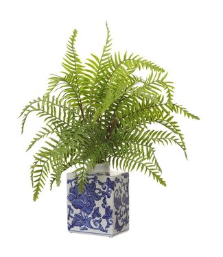 20" Boston Fern in Ceramic Vase Green