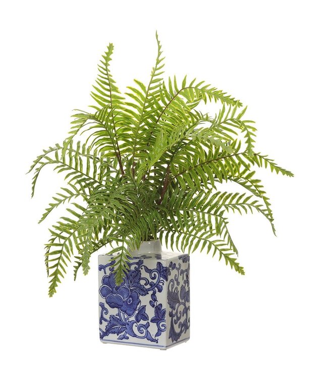 20" Boston Fern in Ceramic Vase Green