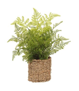15" Leather Fern in Basket Green
