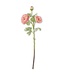 25 Inch Real Touch Triple Bloom Ranunculus Stem