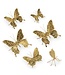 Gold Butterflies