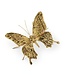 Gold Butterflies