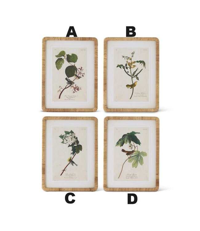 23.25 Inch Bird/Botanical Print With Rattan Frame