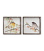 16.5" Bird/Framed Plaque