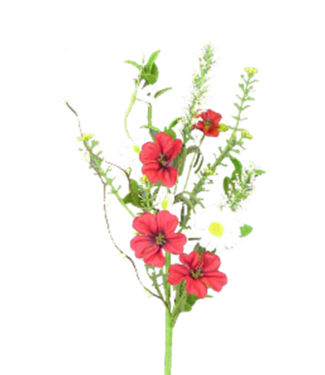 Geranium Pick