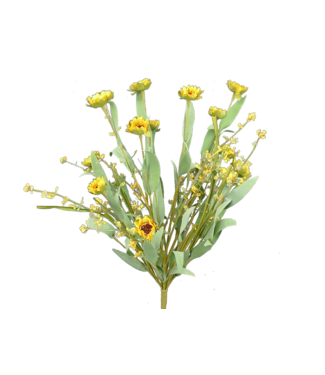 Mini Sunflower Grass Bush