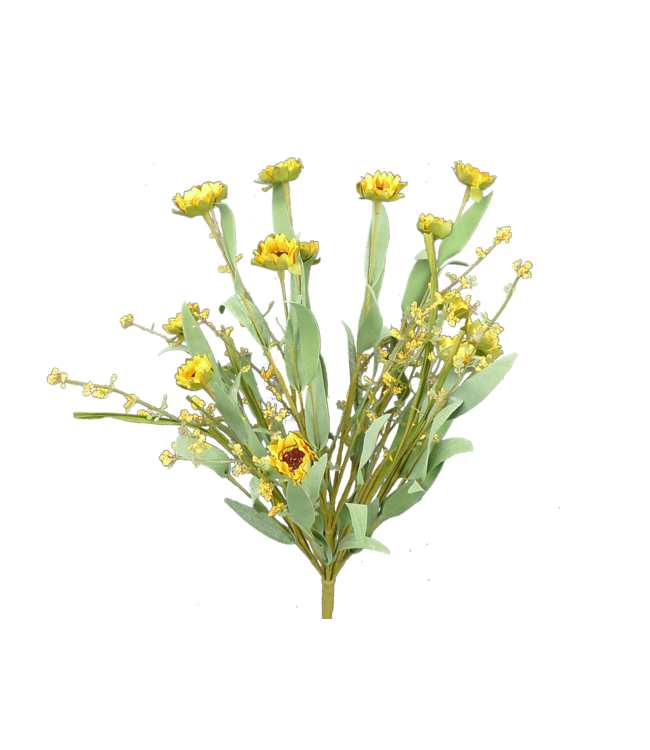 Mini Sunflower Grass Bush