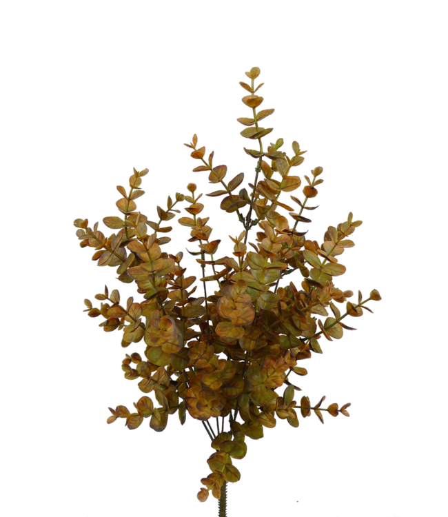 Plastic Eucalyptus Bush