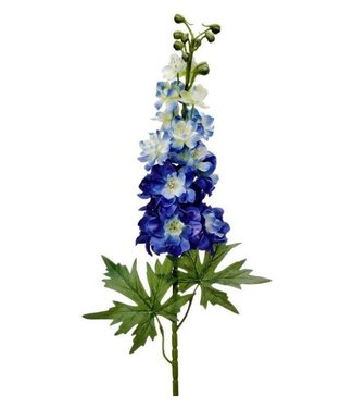 31.5" blooms delphinium