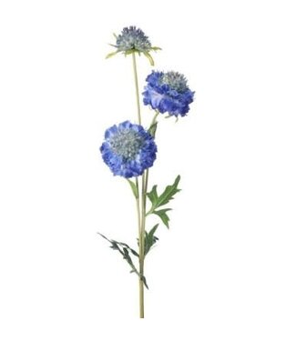 30" Just Cut Triple Scabiosa