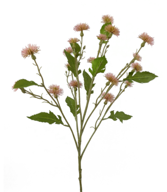 Plastic Sweet Daisy Spray