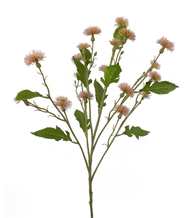 Plastic Sweet Daisy Spray