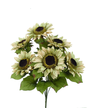 Color Fast Sunflower Bush