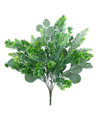 Silver Dollar Mix Green Bush