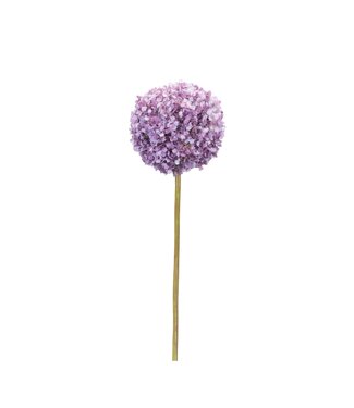 25”H  Allium Stem