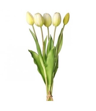15.25” PL Soft Touch Tulip Bundle X5