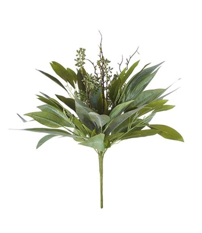 18" Willow Eucalyptus Bush