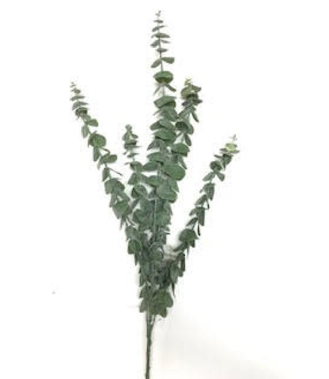 EUCALYPTUS SPRAY 33"