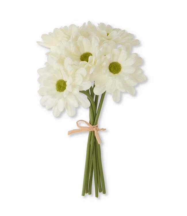 10 Inch Real Touch Daisy Bundle