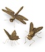 Gold Resin Insect