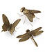 Gold Resin Insect