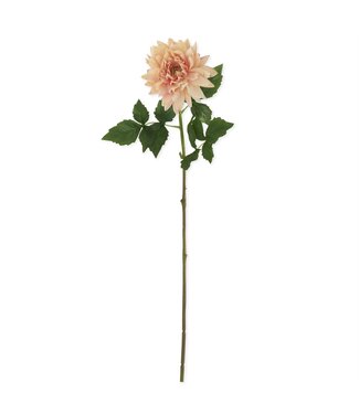 29 Inch Peach Real Touch Dahlia Stem