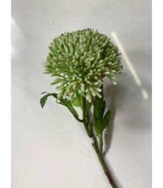 25" Seeds Spray