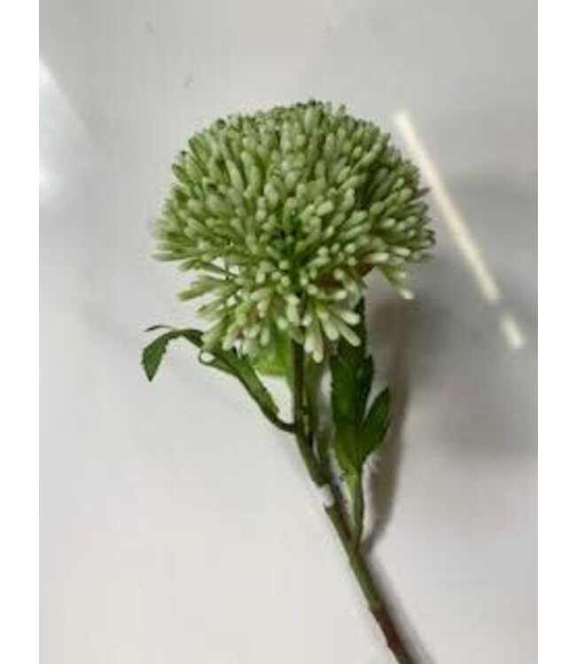 25" Seeds Spray