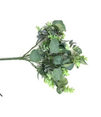 16IN Dollar/Eucalyptus Bush X7
