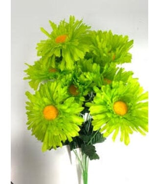 Daisy Bush X9