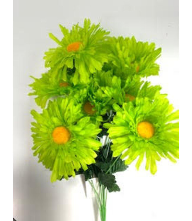 Daisy Bush X9