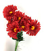 Daisy Bush X9